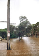 Moora Flood 1