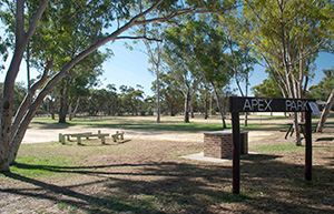 Apex Park, Moora